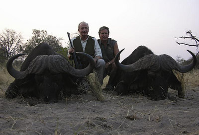 la caza del búfalo